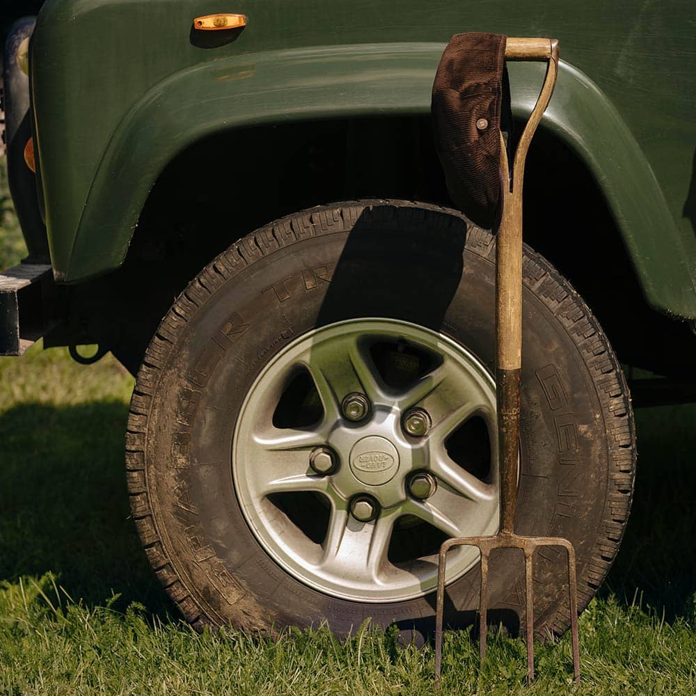 Signature Look Tintin Fellow - b